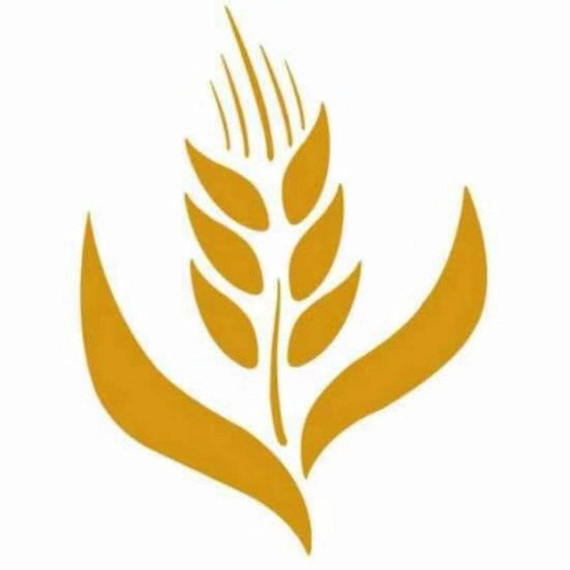 温州全麦网络科技有限公司
