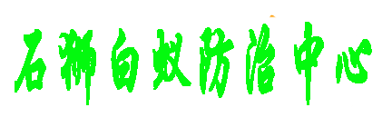 石狮白蚁防治电话13489-202060 石狮白蚂蚁预防治中心 晋江白蚁治理预防公司专家.心」石狮治理预防公司石狮专业灭白蚁专家.石狮祥芝白蚂蚁防疫站.消杀公司 除四害杀虫公司 除虫灭虫杀虫 专业除虫灭鼠公司 消杀四害 杀蟑螂公司石狮白蚁防治电话13489-202060 石狮白蚂蚁预防治中心 晋江白蚁治理预防公司专家.心」石狮治理预防公司石狮专业灭白蚁专家.石狮祥芝白蚂蚁防疫站.消杀公司 除四害杀虫公司 除虫灭虫杀虫 专业除虫灭鼠公司 消杀四害 杀蟑螂公司