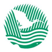 湿地中国