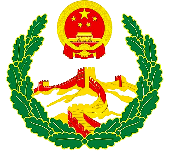 四川省社会治安综合治理中心信息平台