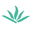 浙江智译智能科技