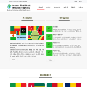 非洲BESC跟踪单|喀麦隆BESC跟踪号|塞内加尔BESC号码|贝宁BESC NO|马里BESC NUMBER|多哥BESC CERTIFICATE|BESC货物跟踪单-非洲BESC跟踪单服务
