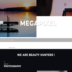 Megapixel a Photo Gallery Category Bootstrap Responsive Website Template | Home :: w3layouts