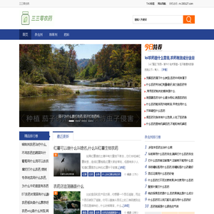 网站截图