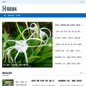 广州华欣建材有限公司