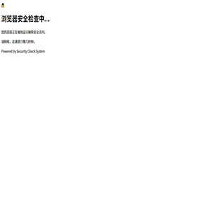 浏览器安全检查中