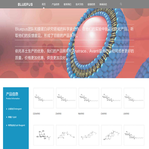 新莘代｜让每一次学习都有回响