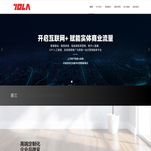 山东荼兰（TOLA）信息技术有限公司