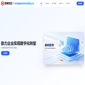 鼎和软件