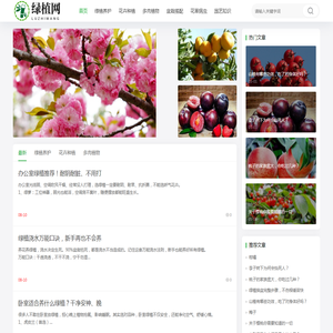 绿植网 - 室内绿植养护技巧_花卉盆栽种植大全