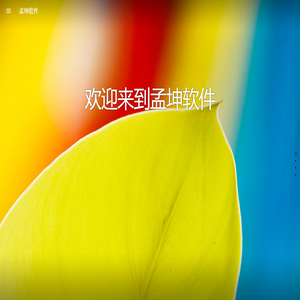 孟坤软件