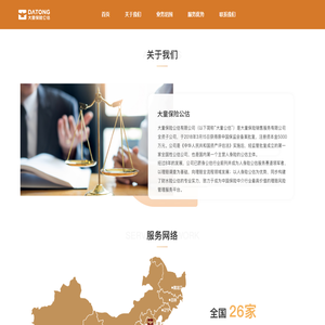 大童保险公估