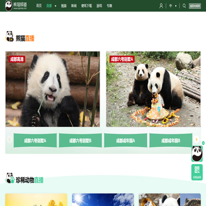 国宝面对面_熊猫频道_央视网