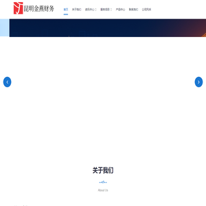 昆明金燕财务