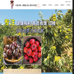 有机板栗-板栗加工-鲜板栗仁批发-板栗仁生产厂家-百峰食品 满栗香
