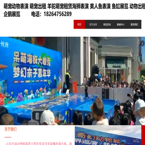 萌宠动物出租动物展览美人鱼表演动物表演租赁海狮表演出租