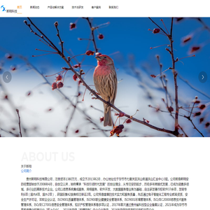 贵州斯翔科技有限公司