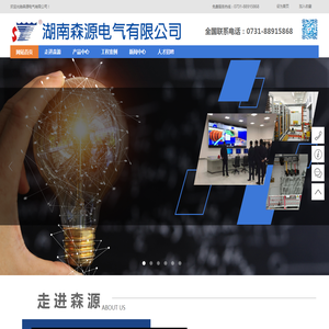 湖南森源电气有限公司