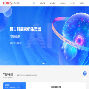 智能营销技术服务- 盘古网络集团