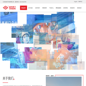 江苏诚功阀门科技有限公司 江苏诚功阀门科技有限公司