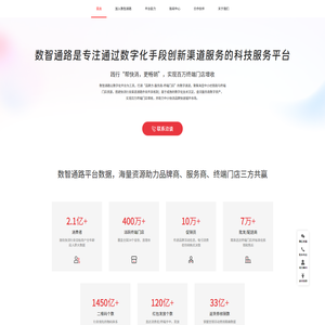 数智通路-创新渠道服务；帮快消，更畅销