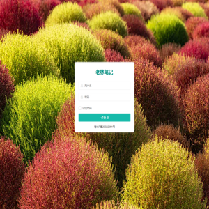 老林笔记