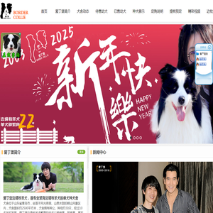 爱丁堡边境牧羊犬繁育基地-边境牧羊犬价格-边境牧羊犬犬舍-边牧幼犬