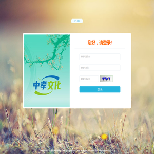 中孝家谱 v