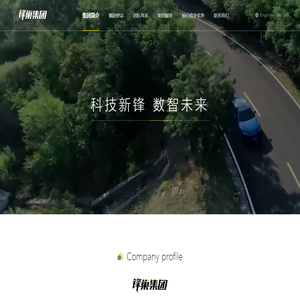 锋巢集团