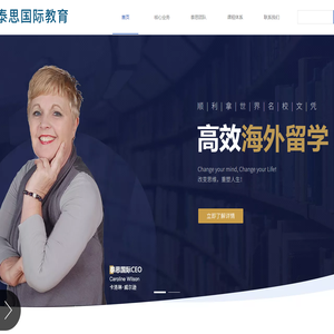 泰思国际咨询服务有限公司官网