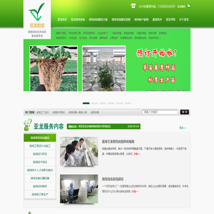济南亚龙生物科技有限公司-植物组织培养系统建设|组培系统|组培技术|组培设备|组培工厂|组培苗|组培耗材|组培试剂|组培育苗|植物克隆|组培培训|脱毒种苗