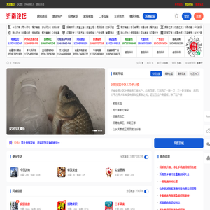 沂南论坛 - 沂南信息港