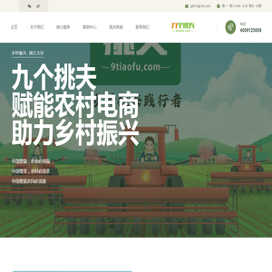 安徽九个挑夫电子商务有限公司