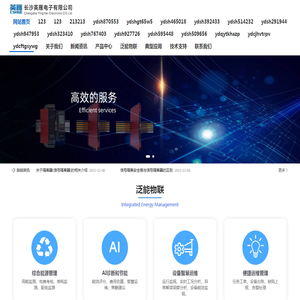 长沙英雁电子-长沙英雁电子有限公司