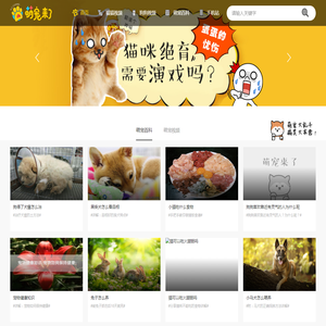 萌宠来了