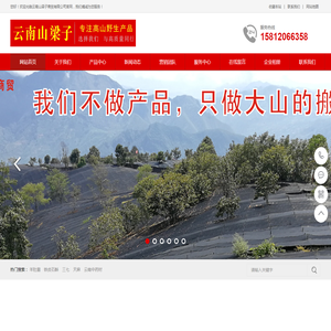 云南山梁子商贸有限公司|羊肚菌|铁皮石斛|三七|天麻|云南中药材厂家|昆明中药材厂家|中药材厂家|电话：15812066358昆明中药材销售官网