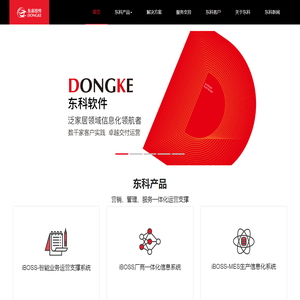东科软件