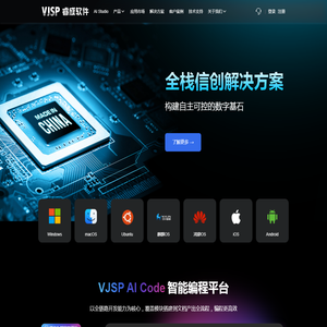 VJSP 睿成软件