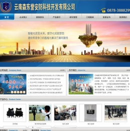 云南森东誉安防科技开发有限公司官方网站