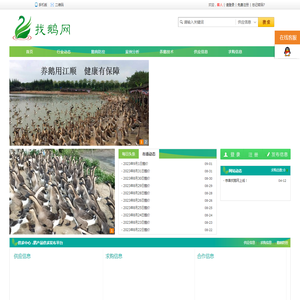 找鹅网