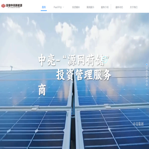 中亮新能源