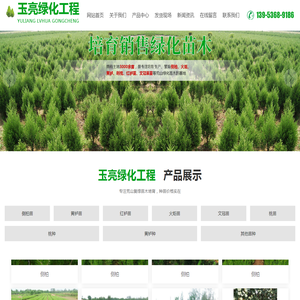 青州玉亮绿化工程有限公司,侧柏苗,黄栌苗,红栌苗,火炬苗,文冠苗种植基地批发
