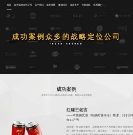 品牌战略咨询_战略定位咨询_品牌定位_企业品牌定位案例