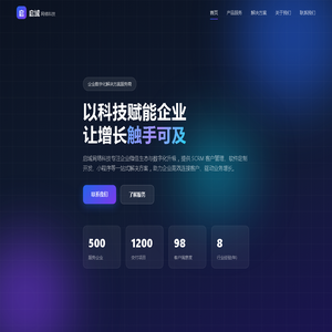 启域网络科技 - 企业数字化解决方案服务商