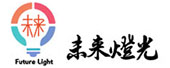 四川未来灯光文化艺术有限公司